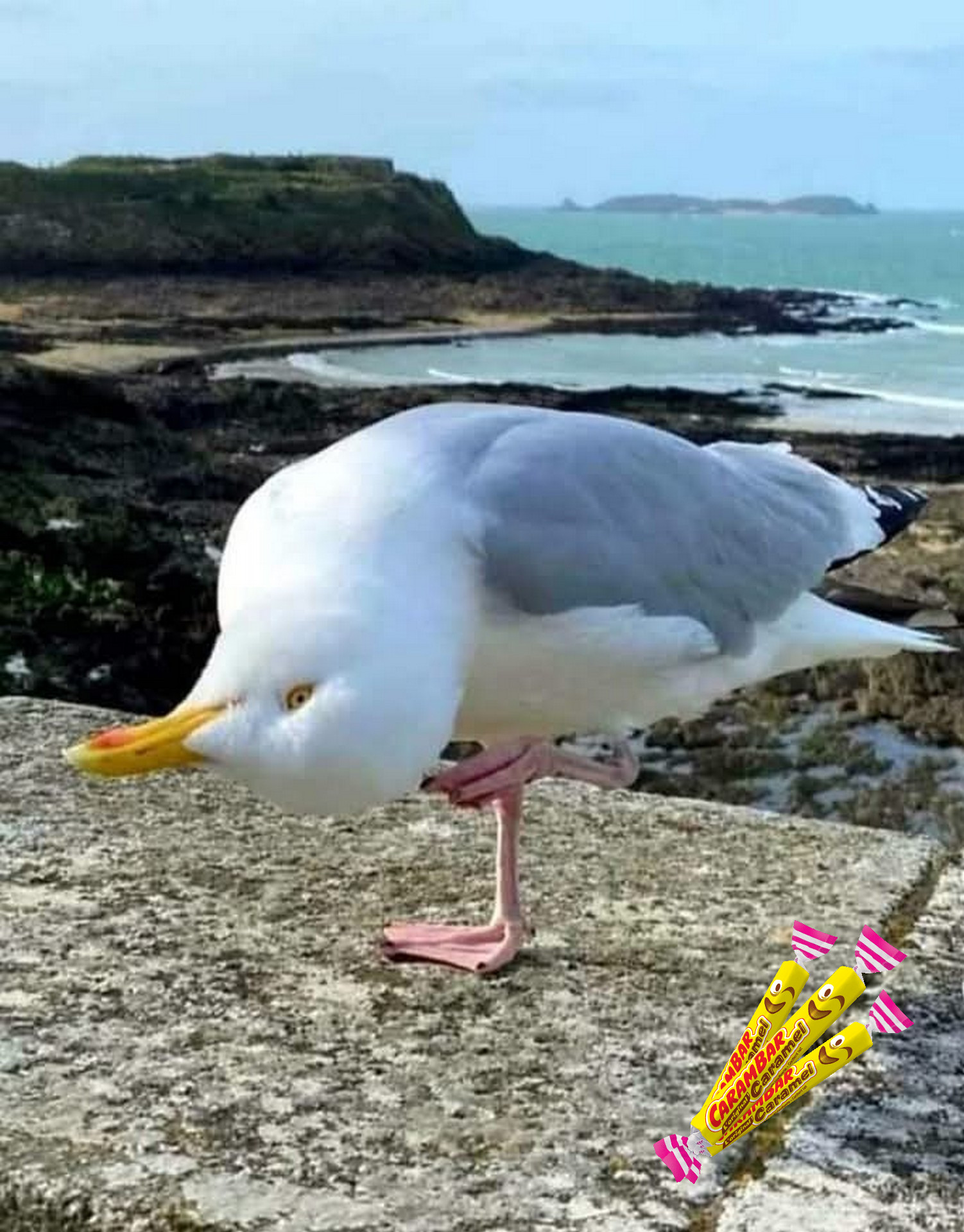 Photo classé 1ère - Natahalie AZAM (DDETSPP)