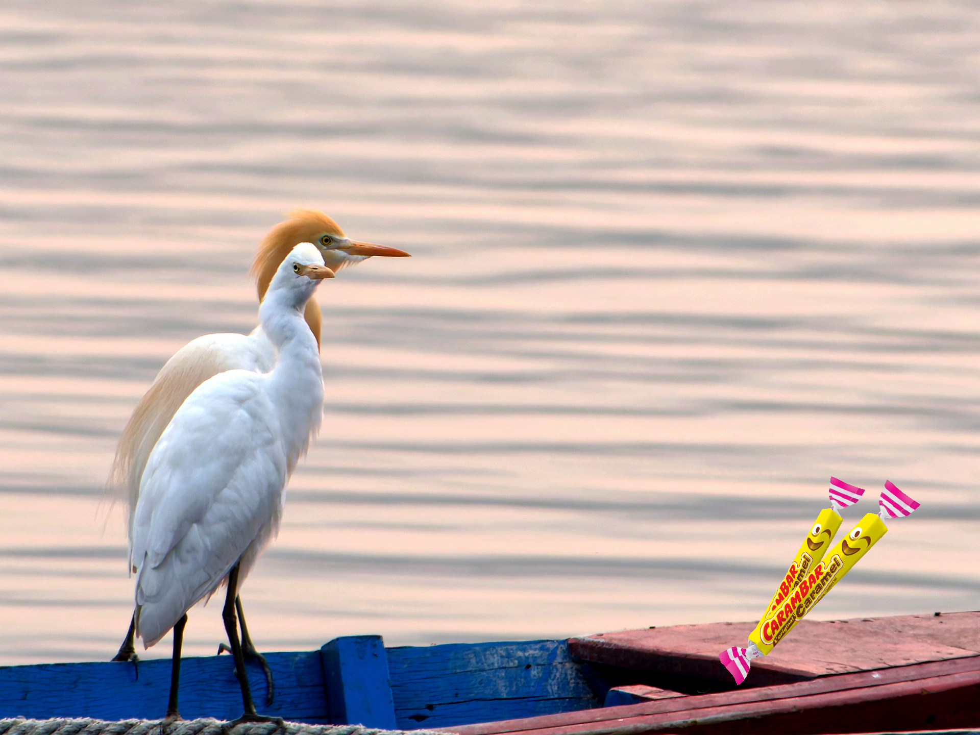 Photo classée 2ème - Nadine JALABERT (retraitée)