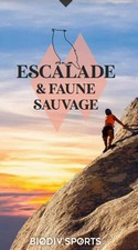 escalade  (nouvelle fenetre)