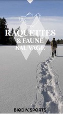 raquettes 2  (nouvelle fenetre)