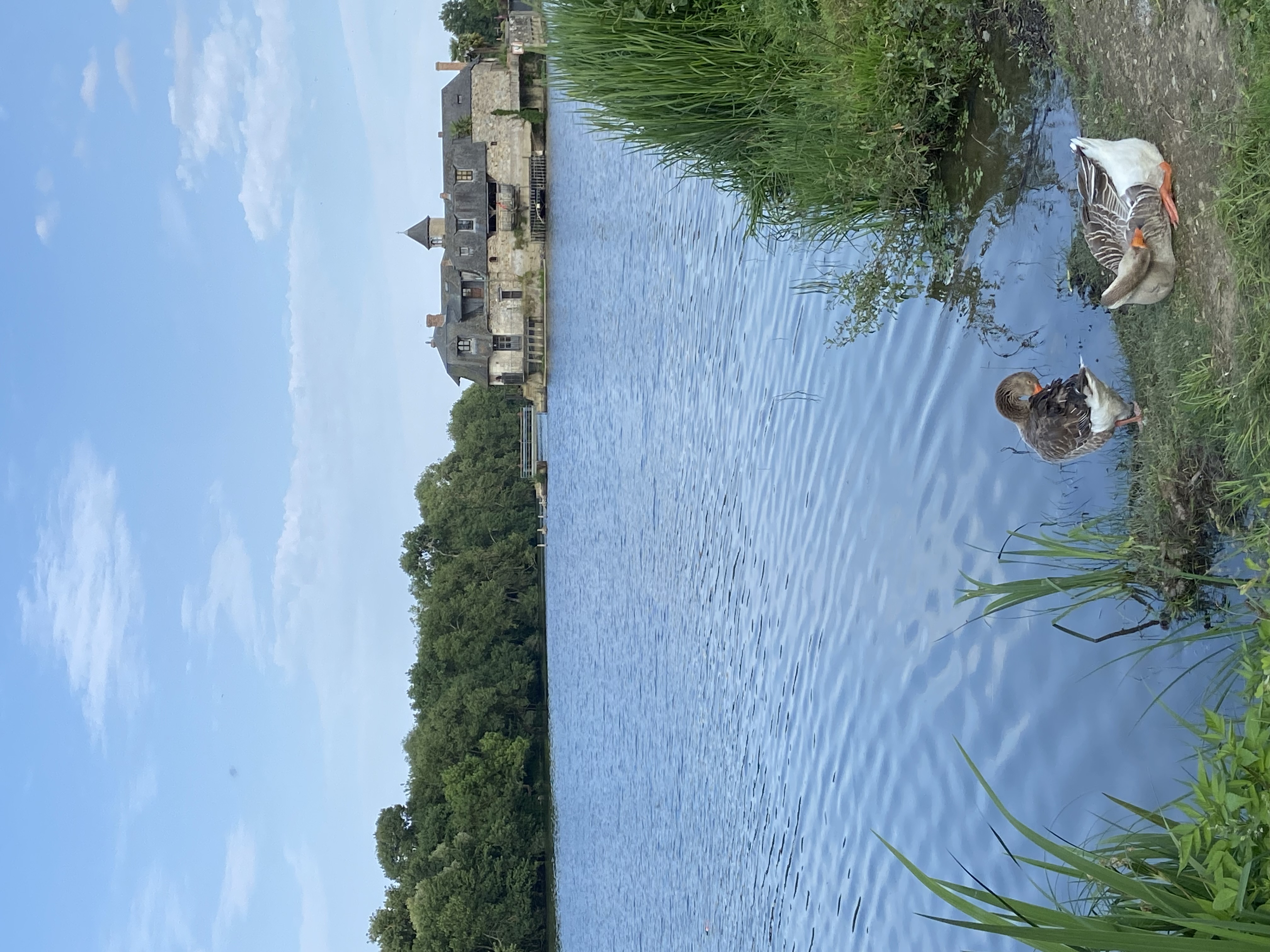 Photo 4 - Thème 1 - Moulin de la Roussière sur la Mayenne