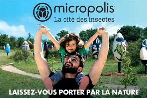 Micropolis