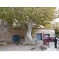Lien vers image en grand format (nouvelle fenêtre)