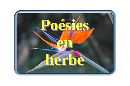Poésies en herbe