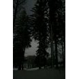 Lien vers image en grand format (nouvelle fenêtre)