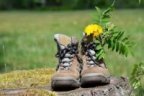 logo Une paire de chaussures de marche. Une fleur jaune est plantée dans une des chaussures