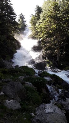 Lien vers image en grand format (nouvelle fenêtre)