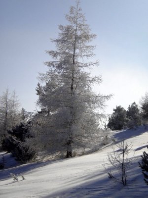 Lien vers image en grand format (nouvelle fenêtre)