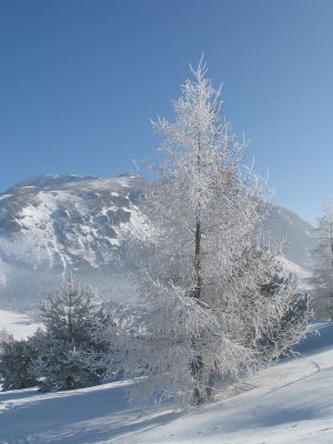 Lien vers image en grand format (nouvelle fenêtre)