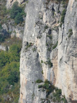 Lien vers image en grand format (nouvelle fenêtre)