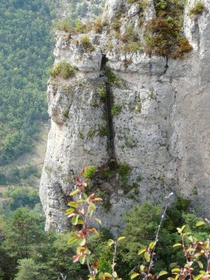 Lien vers image en grand format (nouvelle fenêtre)