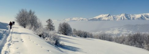 Lien vers image en grand format (nouvelle fenêtre)