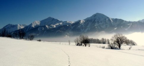 Lien vers image en grand format (nouvelle fenêtre)