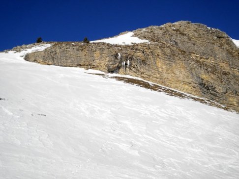 Lien vers image en grand format (nouvelle fenêtre)