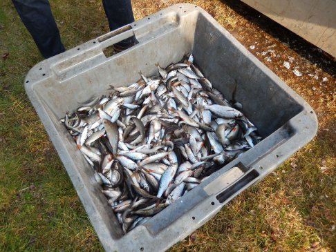 Lien vers image en grand format (nouvelle fenêtre)