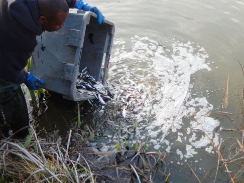 Lien vers image en grand format (nouvelle fenêtre)