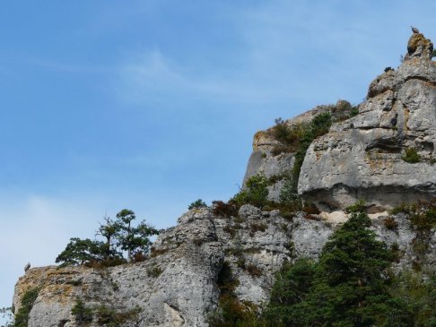 Lien vers image en grand format (nouvelle fenêtre)