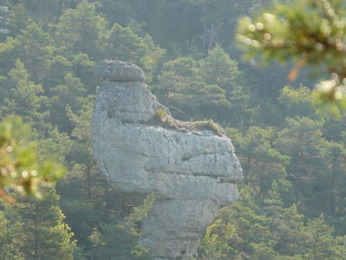 Lien vers image en grand format (nouvelle fenêtre)